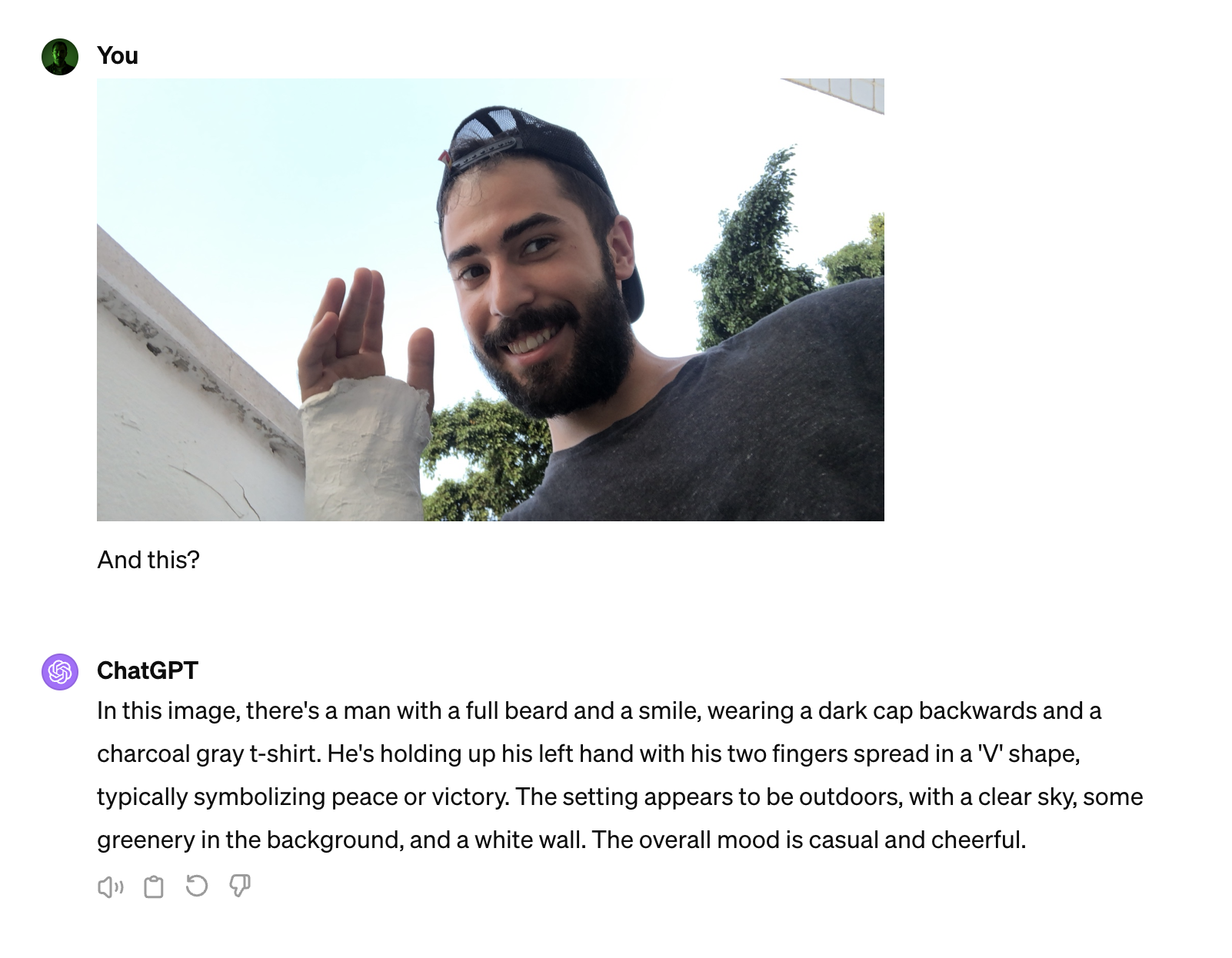 Description of photo 2