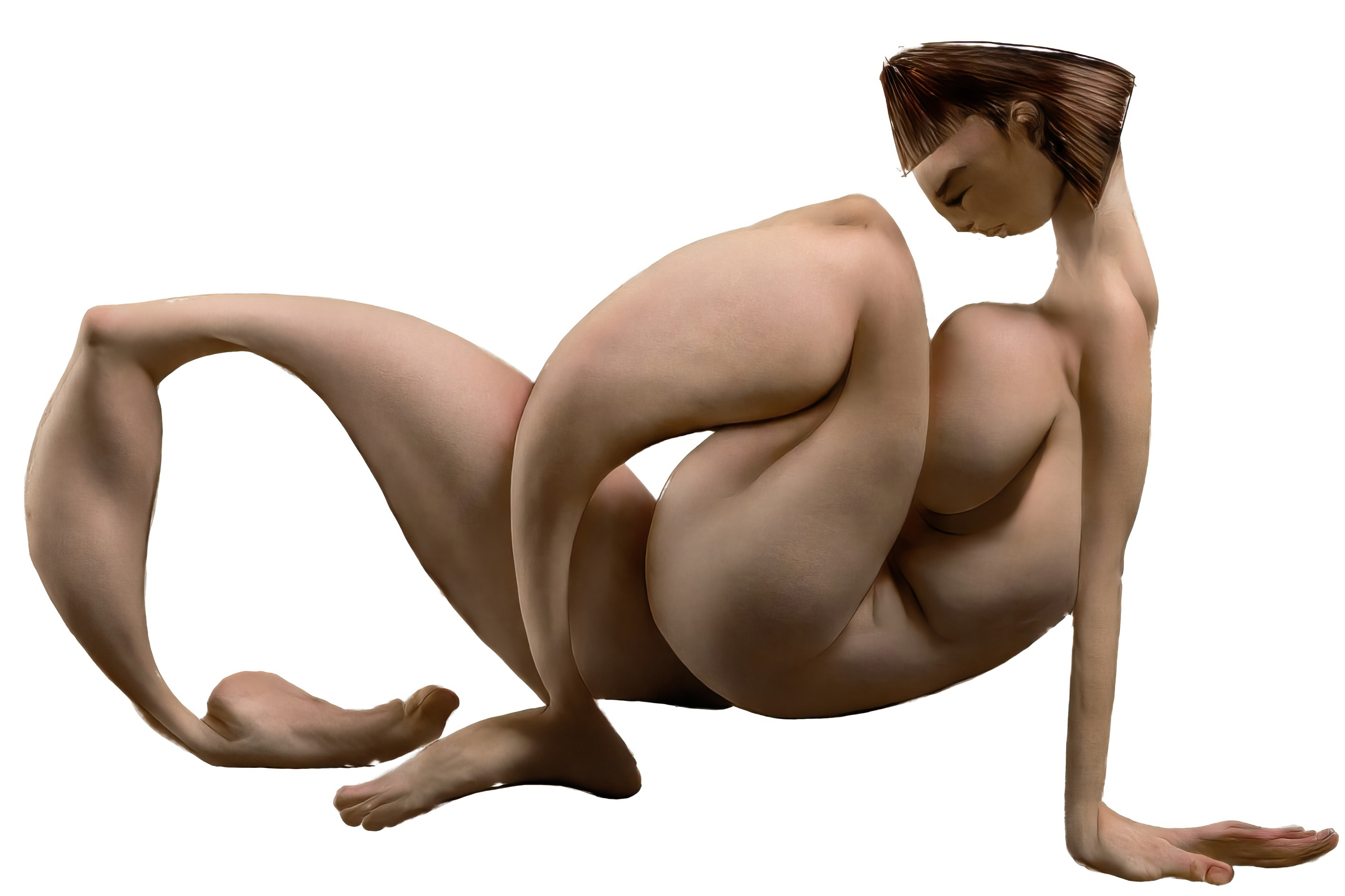 Bodies